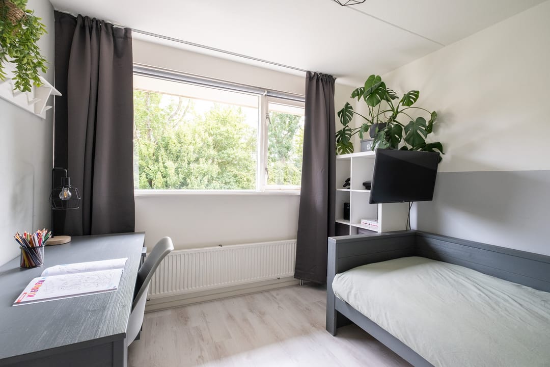 Foto 17 van Omring 59