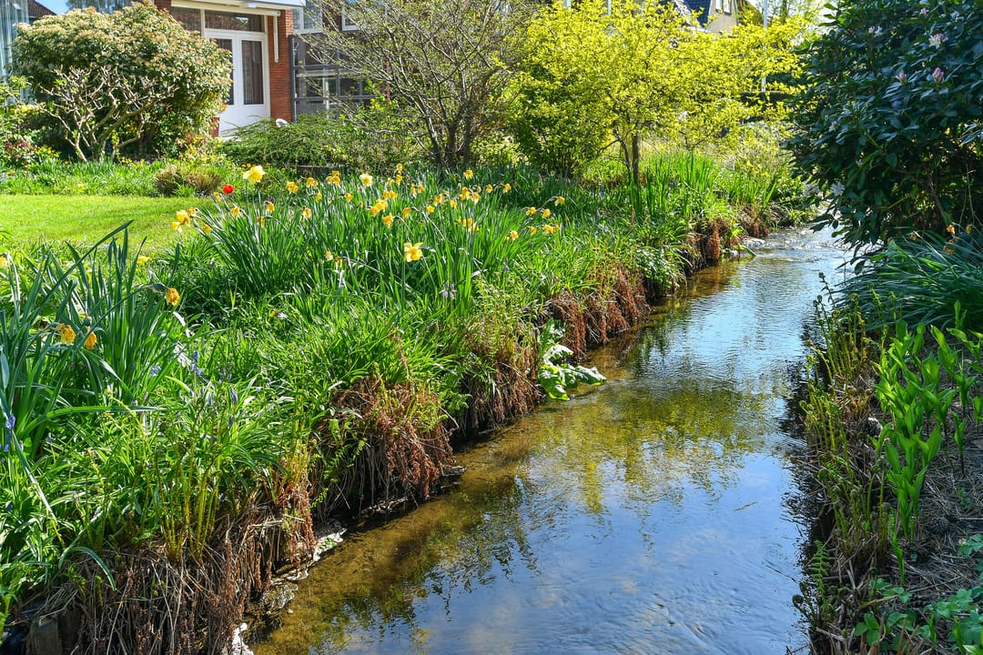 Foto 8 van Huijghenslaan 5