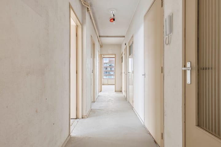 Foto 13 van Maassluisstraat 550