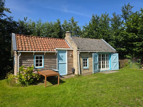 undefined main image