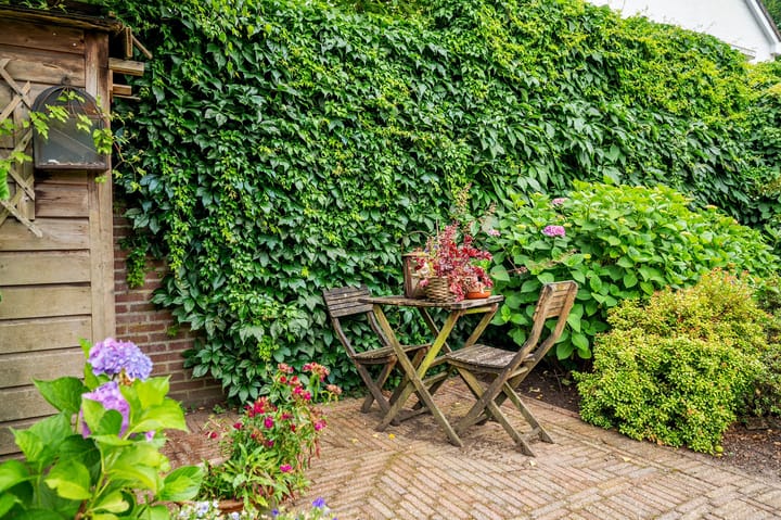 Foto 57 van Horatiuslaan 5