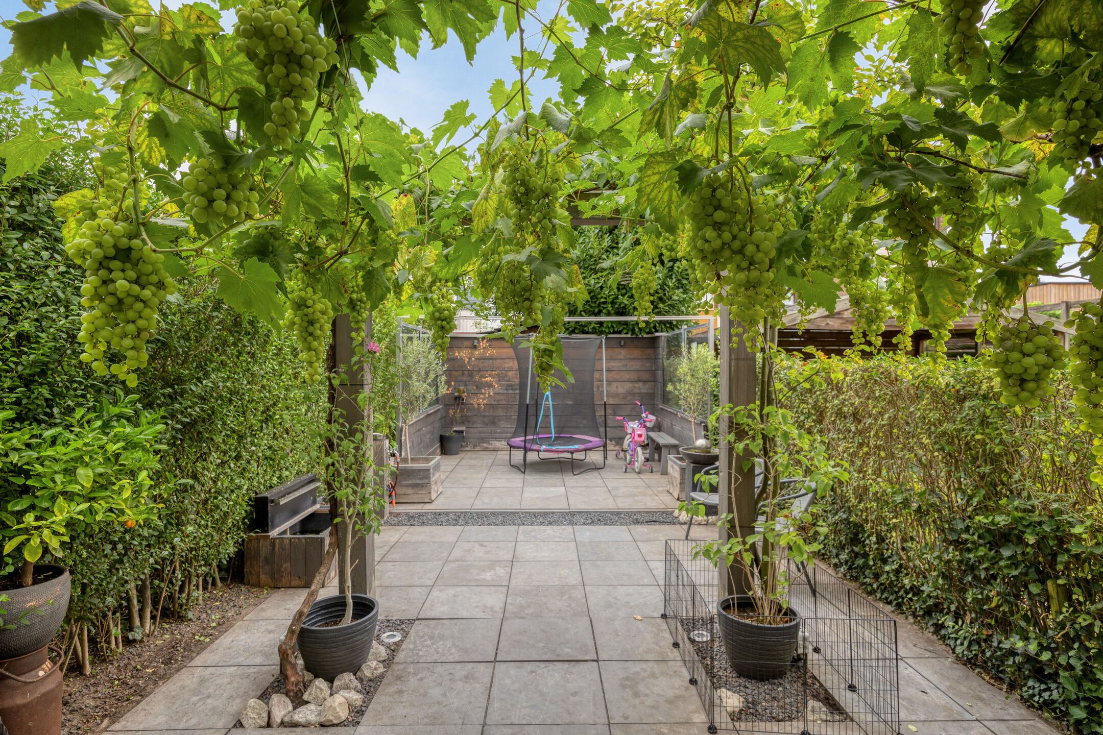 Photo 27 of Kasteel Hornstraat 16