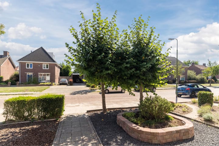 Foto 41 van De Witstraat 6