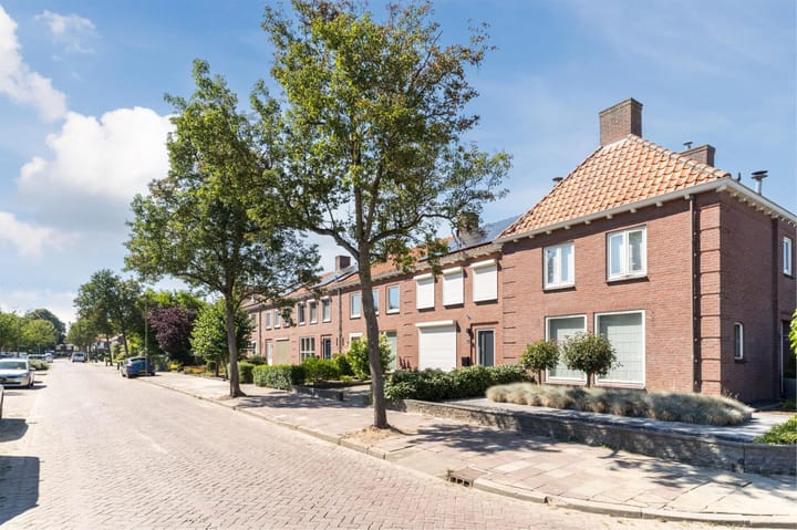 Foto 45 van De Witstraat 6