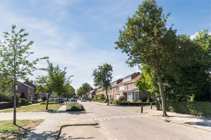 Foto 47 van De Witstraat 6