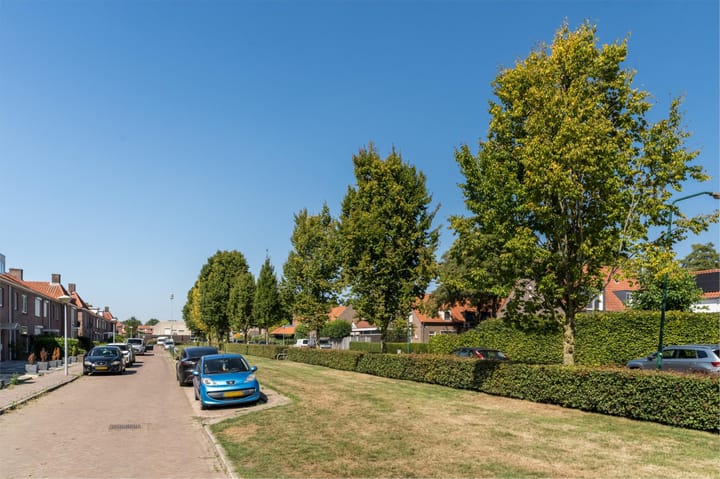 Foto 48 van De Witstraat 6