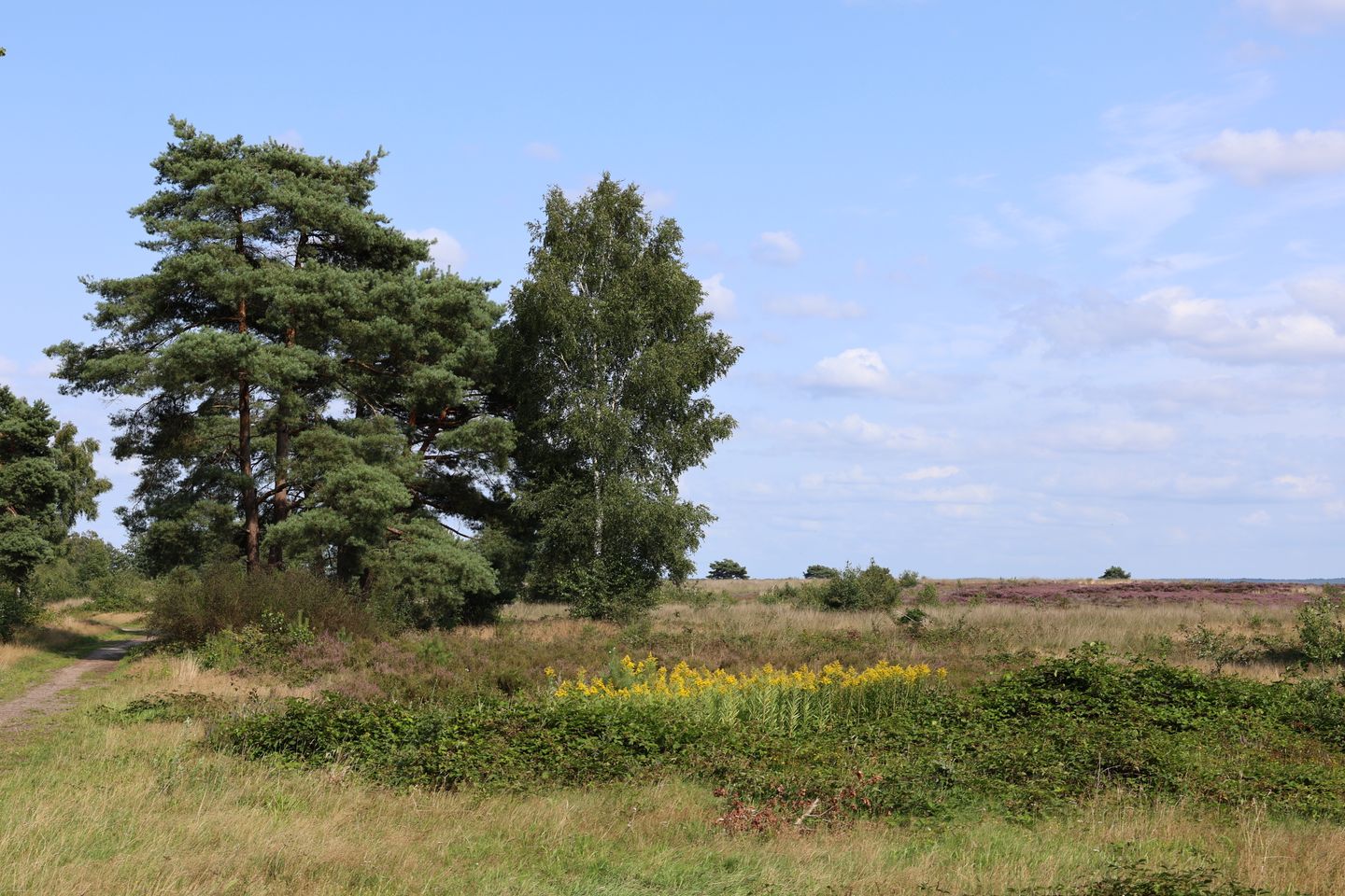 Foto 4 van Garderenseweg nabij 301