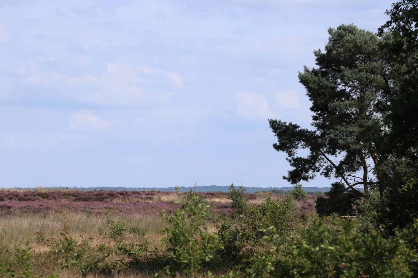 Foto 5 van Garderenseweg nabij 301