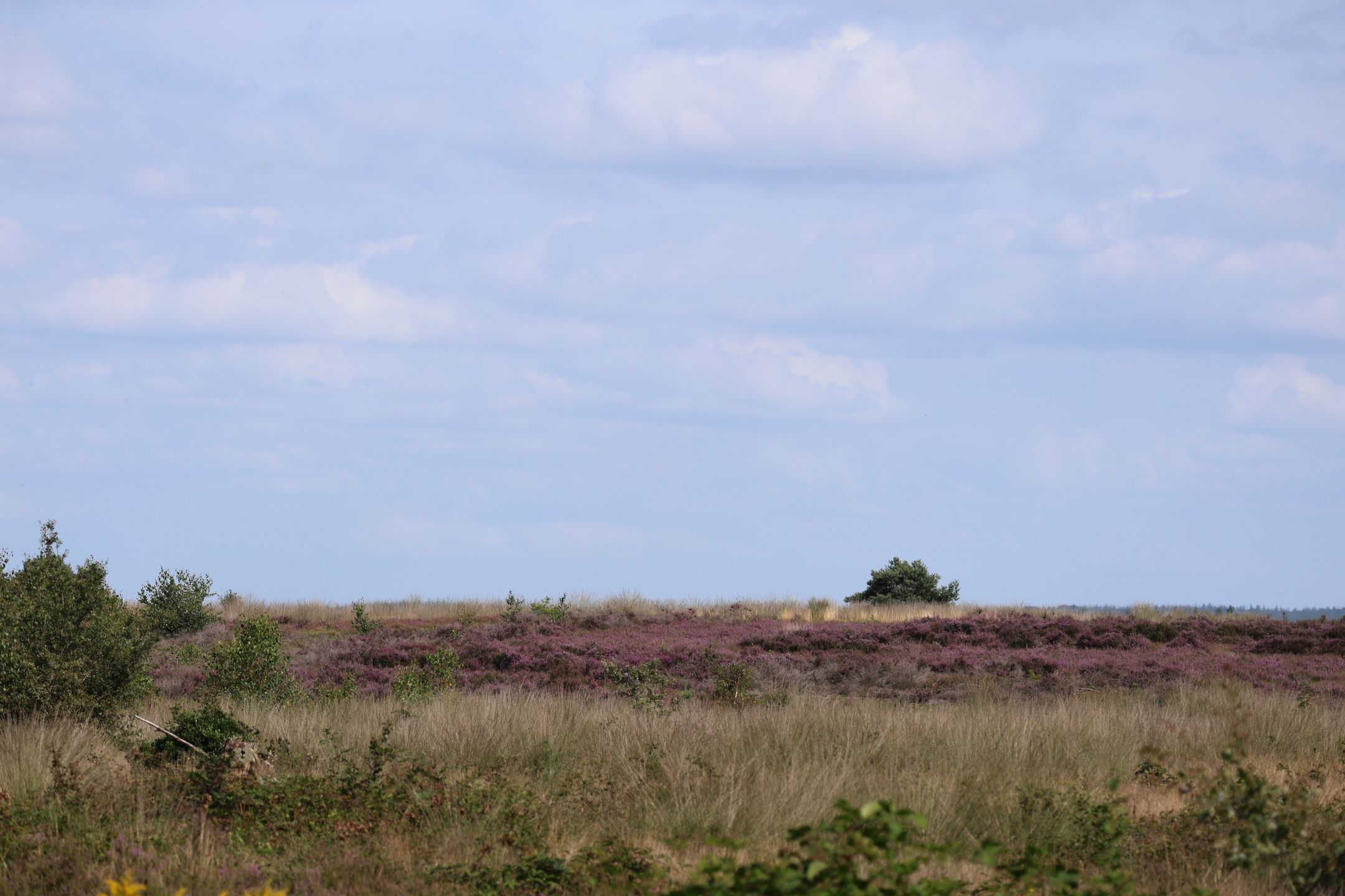 Foto 6 van Garderenseweg nabij 301