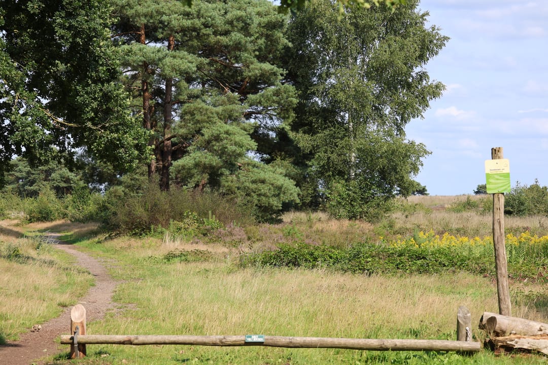 Foto 7 van Garderenseweg nabij 301