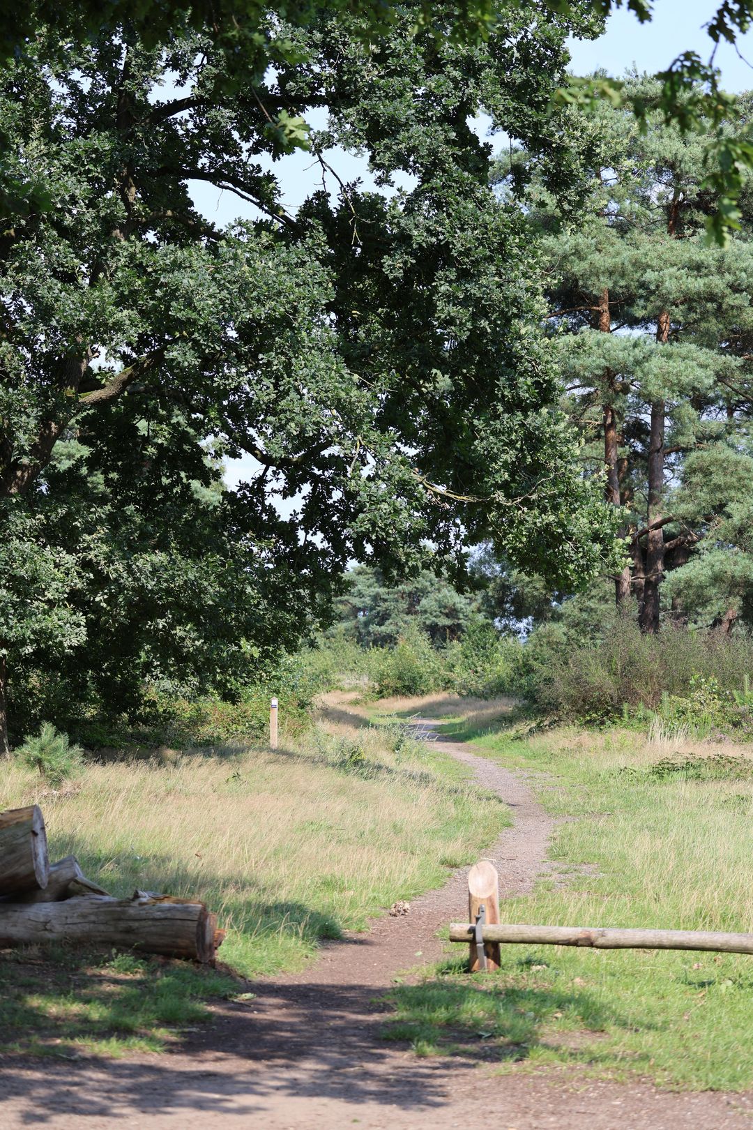 Foto 8 van Garderenseweg nabij 301