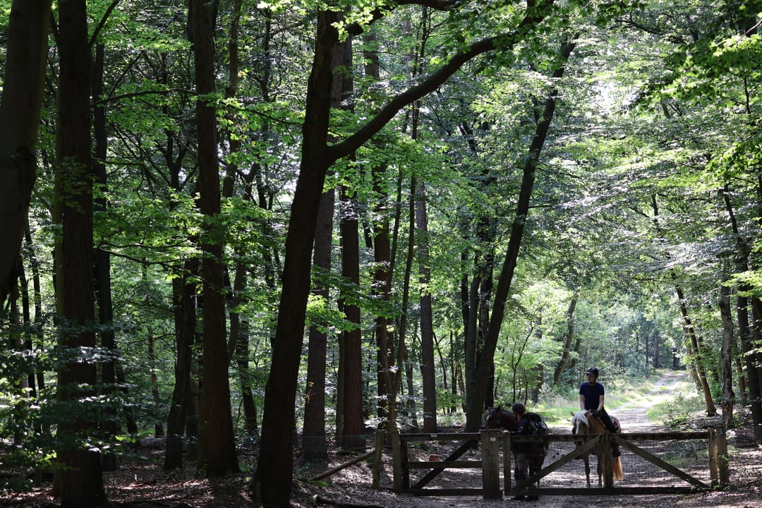 Foto 13 van Garderenseweg nabij 301