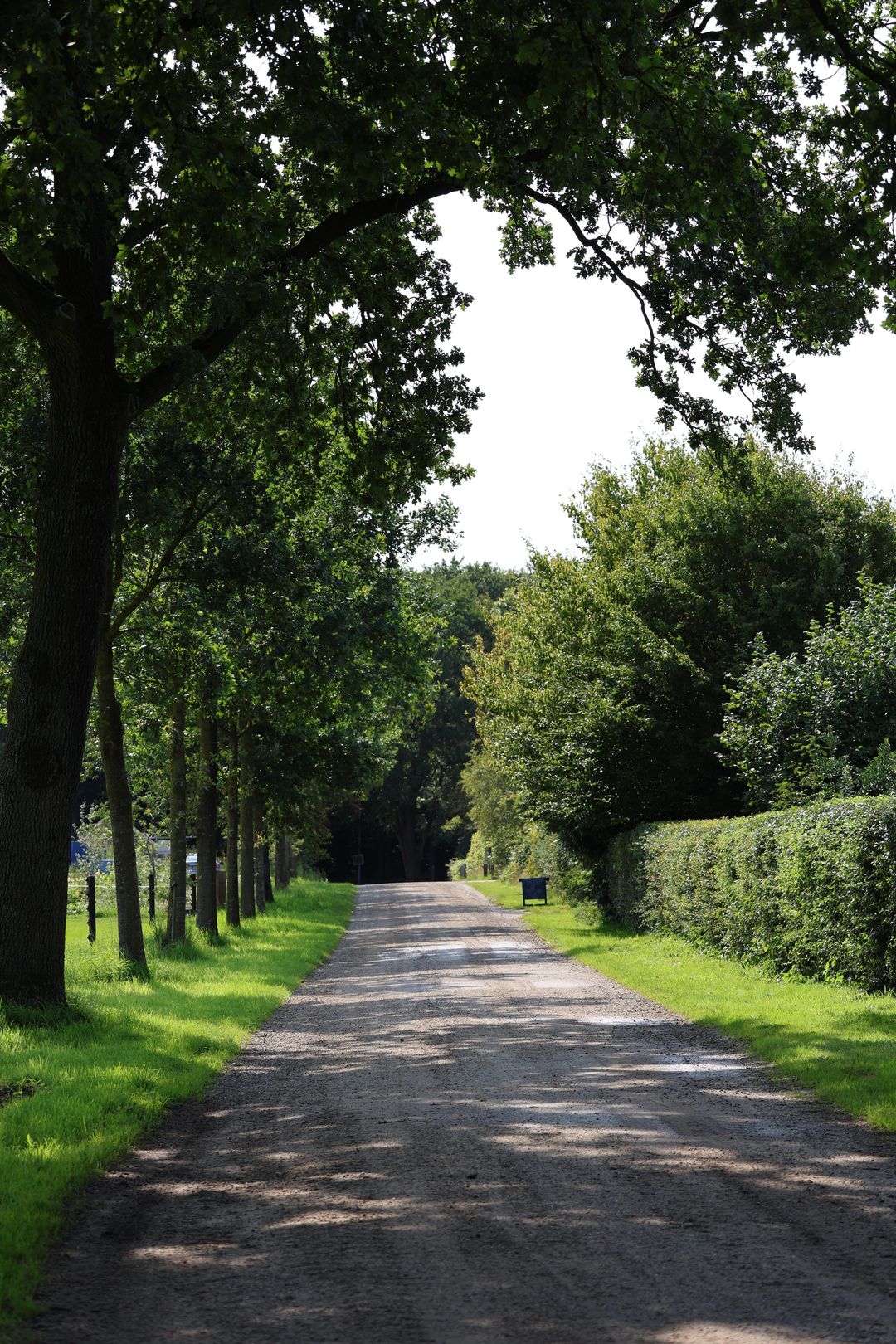 Foto 16 van Garderenseweg nabij 301