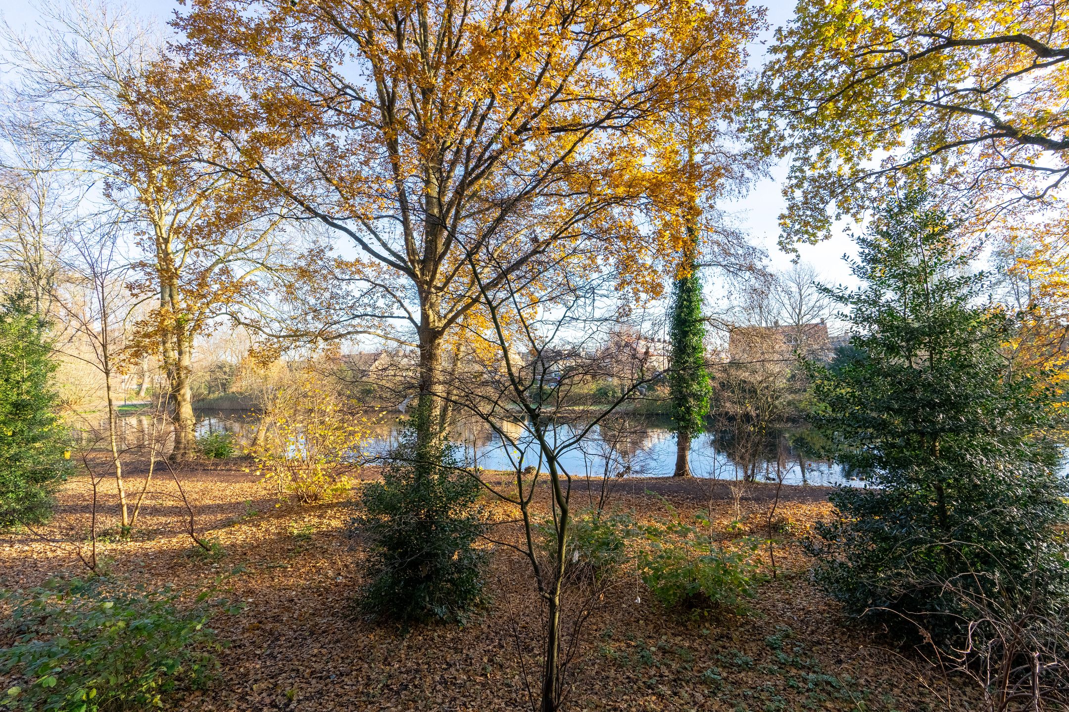 Foto 21 van Aert van Neslaan 140