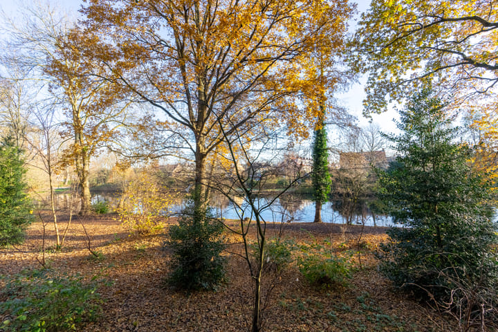 Foto 21 van Aert van Neslaan 140