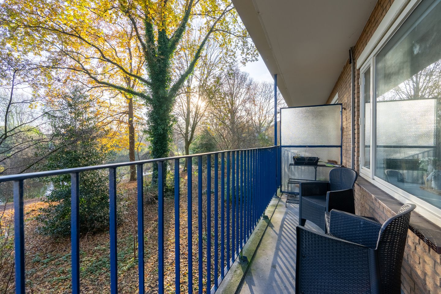 Foto 19 van Aert van Neslaan 140