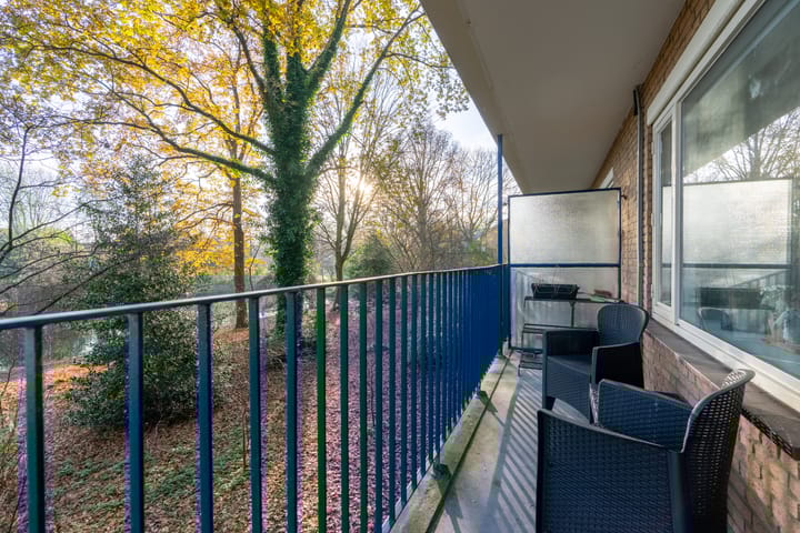 Foto 19 van Aert van Neslaan 140