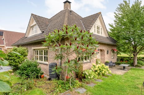 undefined main image