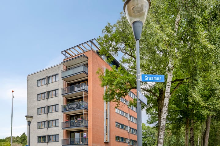 Foto 3 van Grasbaan 50