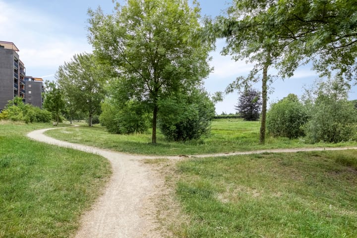 Foto 42 van Grasbaan 50