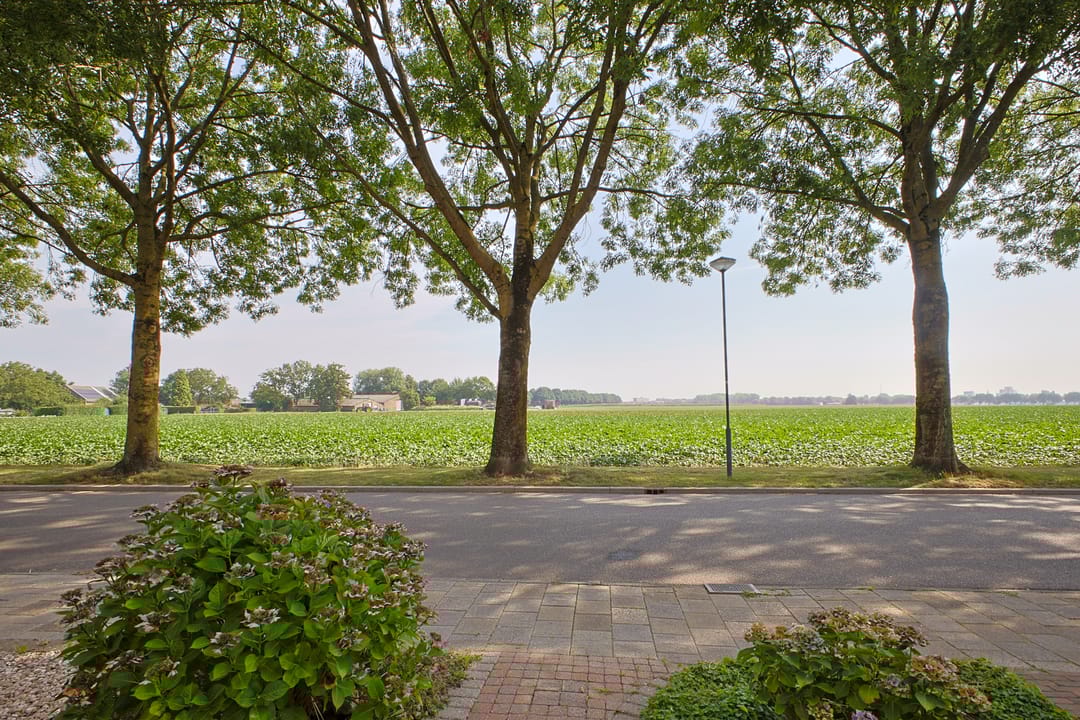 Foto 7 van Concordiastraat 10