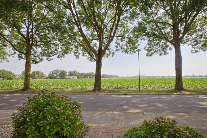 Foto 7 van Concordiastraat 10