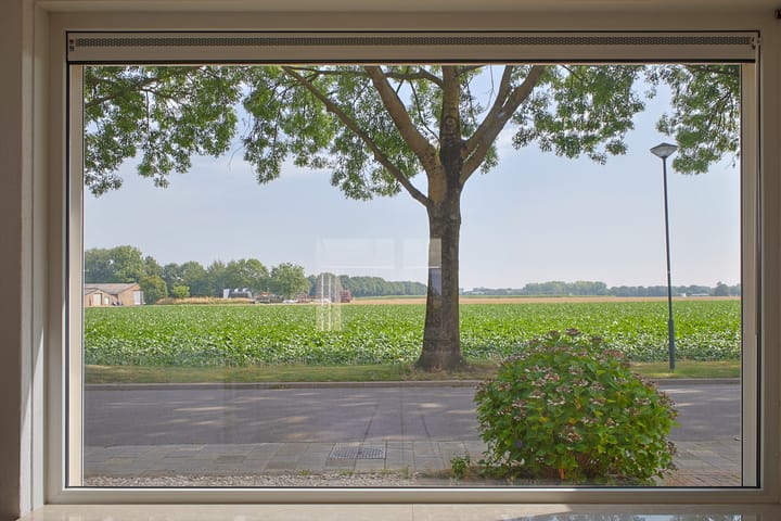 Foto 28 van Concordiastraat 10