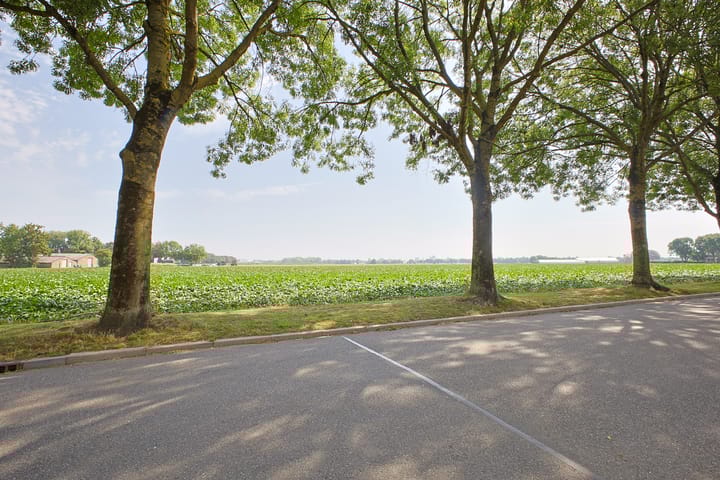 Foto 30 van Concordiastraat 10