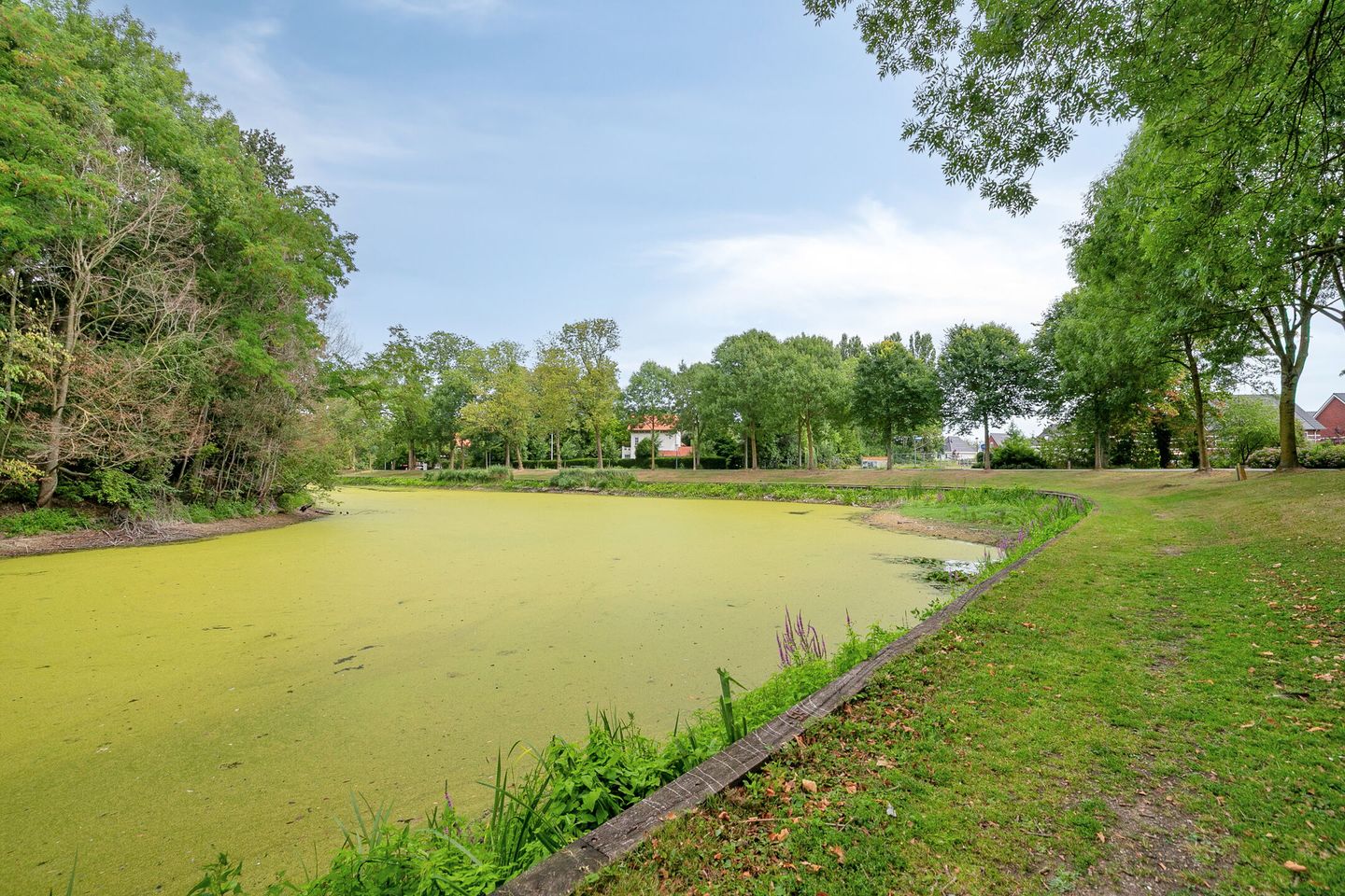 Foto 40 van Koningin Wilhelminaweg 74