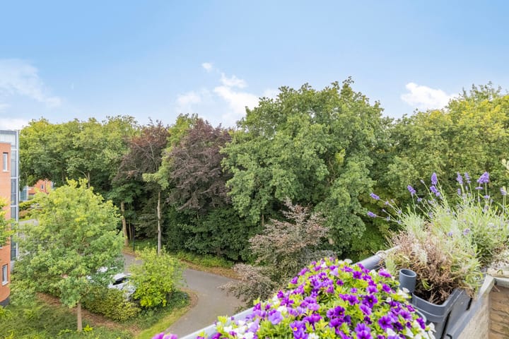 Photo 5 of Veldzigt 60