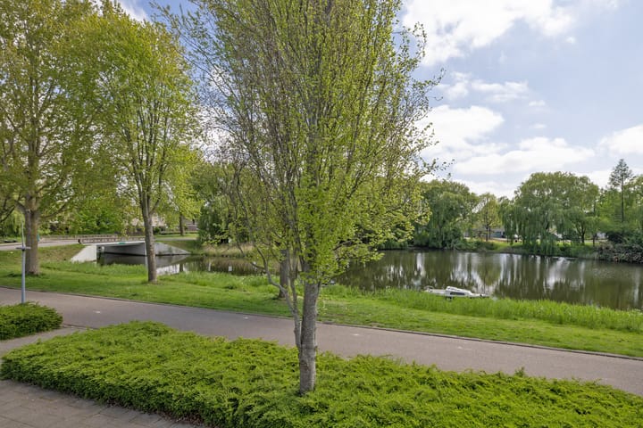 Foto 35 van Louis Chrispijnstraat 13