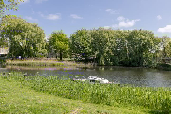 Foto 44 van Louis Chrispijnstraat 13