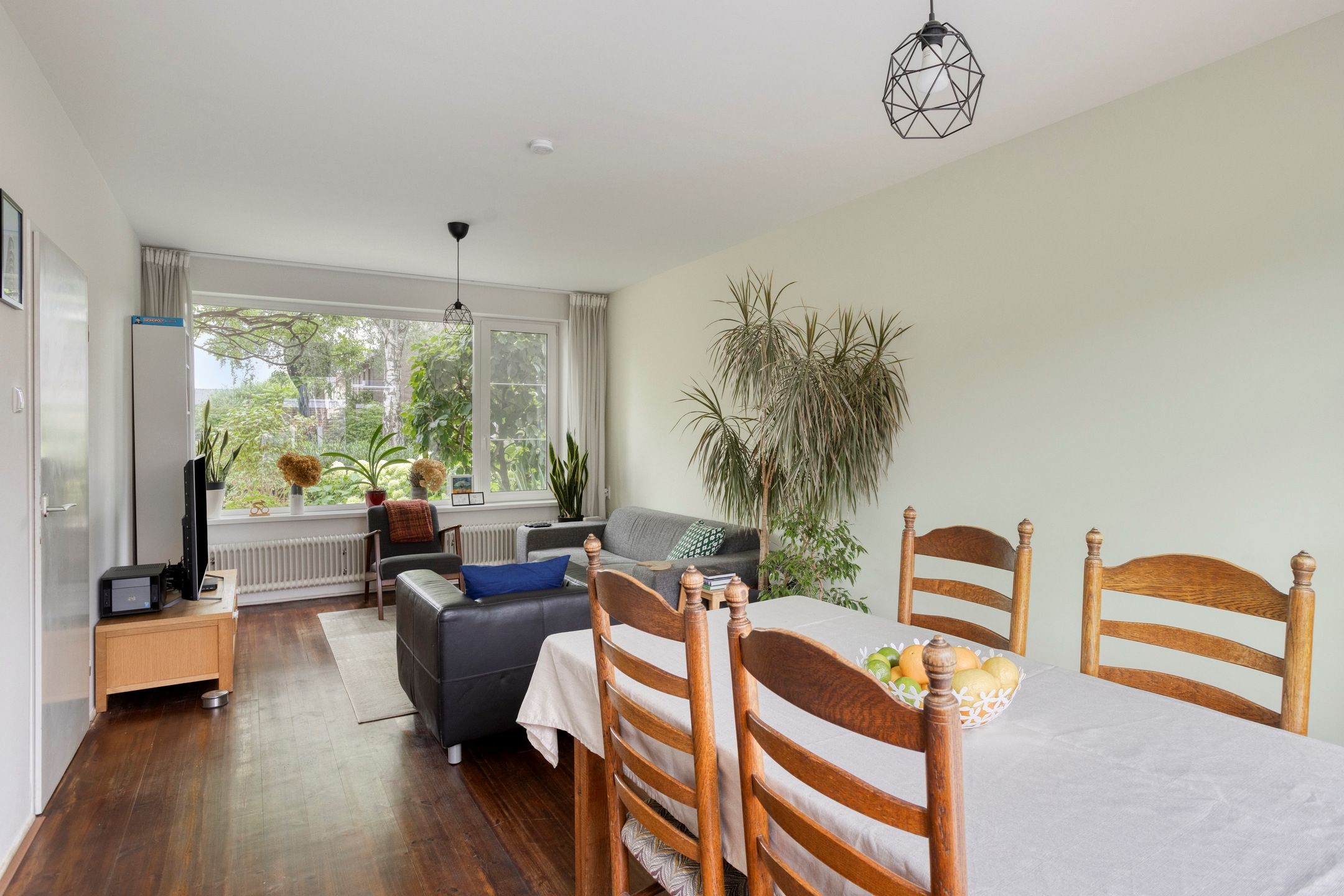 Foto 3 van Cygnus 23