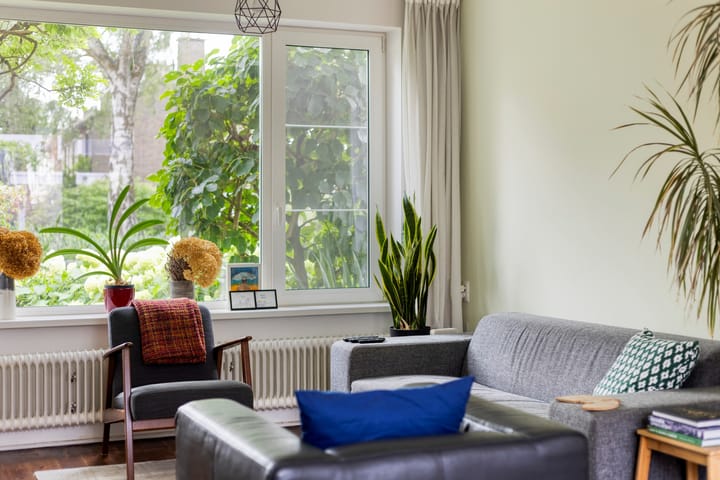 Foto 5 van Cygnus 23