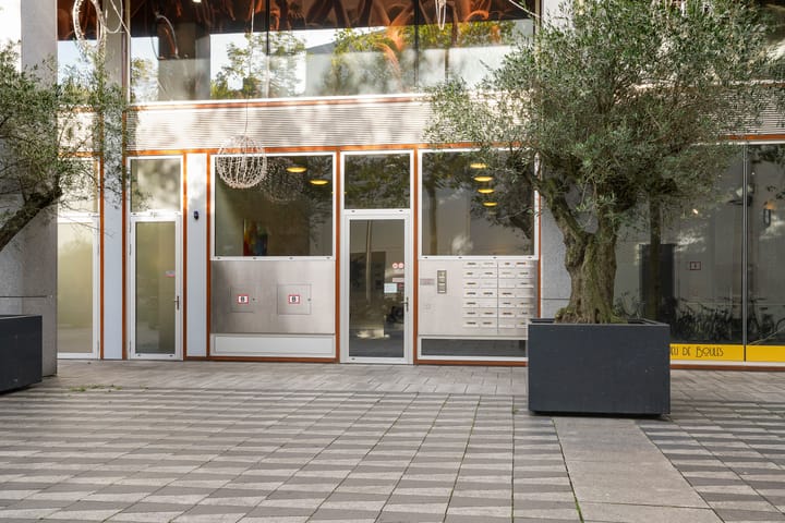 Foto 5 van Pieter Vreedeplein 79