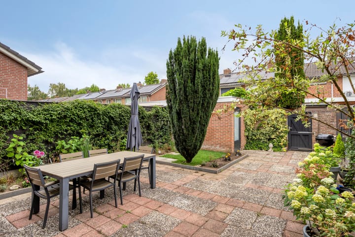 Foto 28 van Cygnus 23