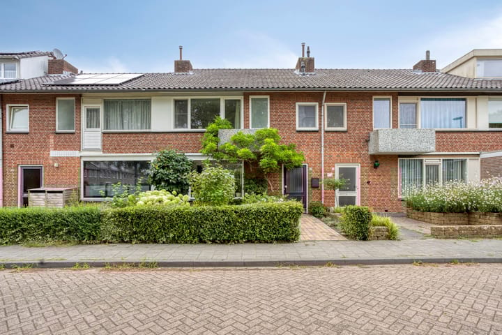 Foto 33 van Cygnus 23