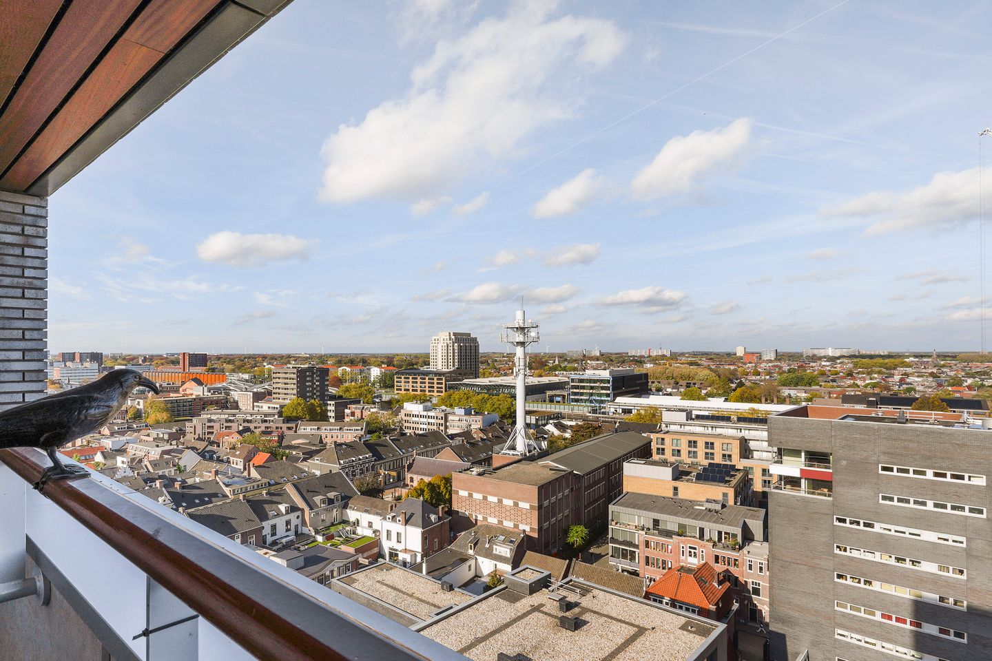 Foto 29 van Pieter Vreedeplein 79