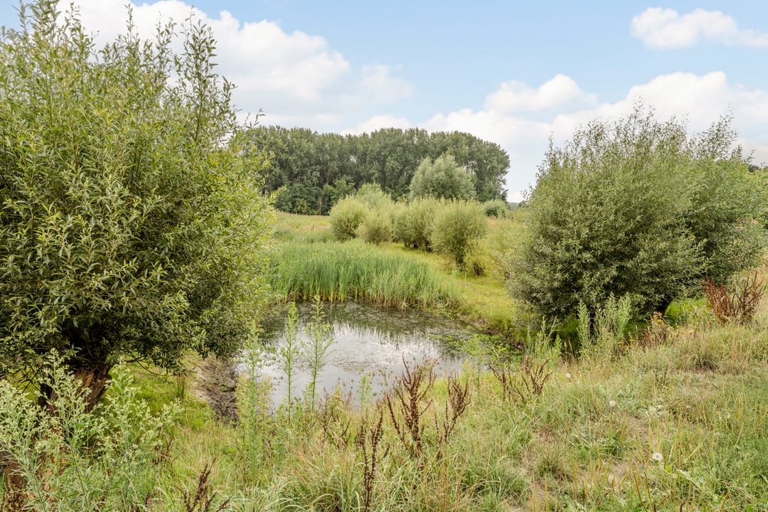 Photo 52 of Kloosterdreef 17