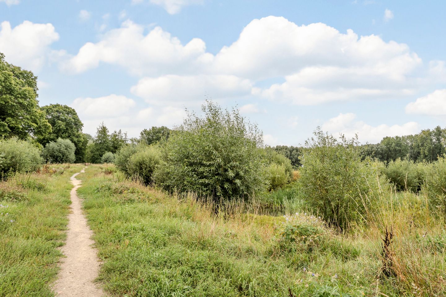 Photo 50 of Kloosterdreef 17