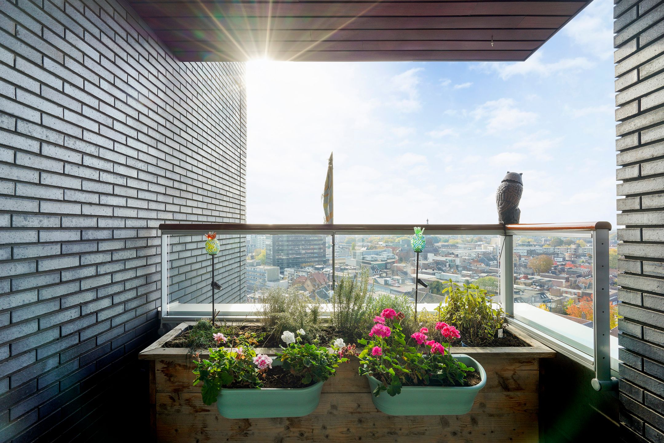 Foto 45 van Pieter Vreedeplein 79