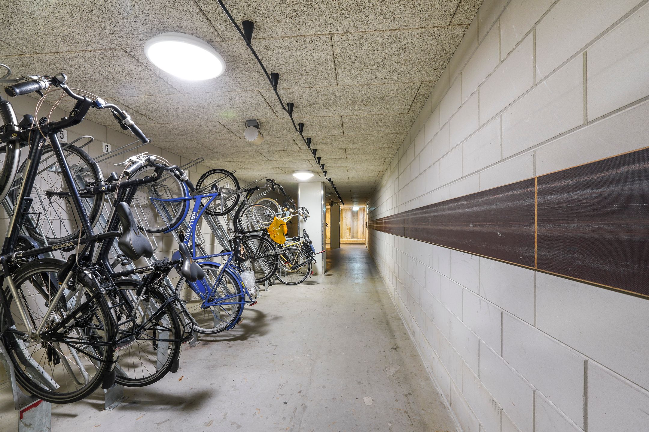 Foto 66 van Pieter Vreedeplein 79