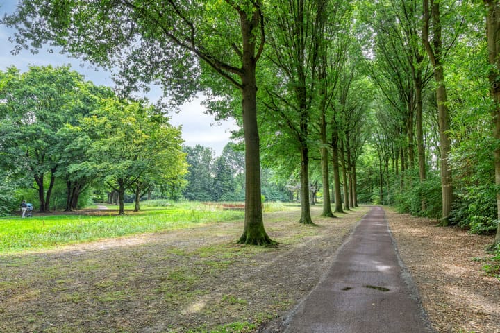 Foto 52 van Toverberg 7