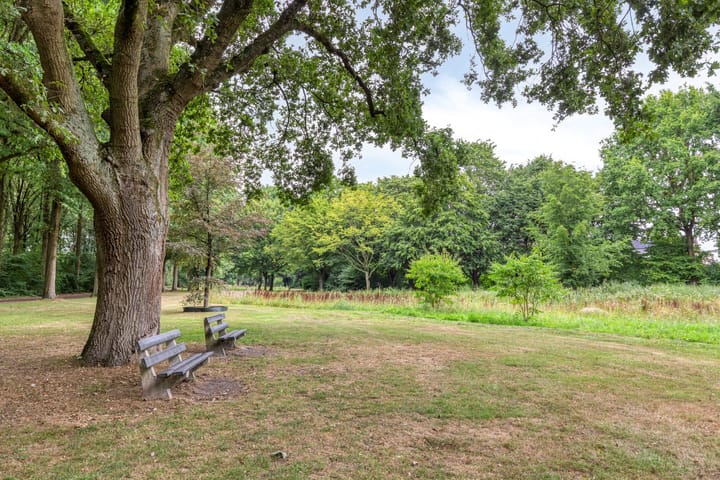 Foto 53 van Toverberg 7