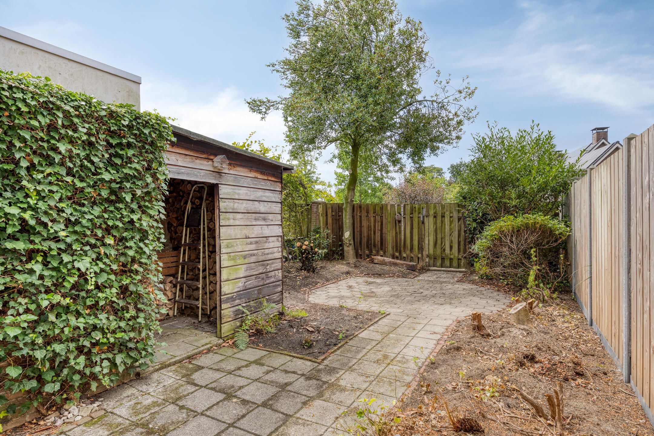 Foto 3 van Johan Frisopark 131