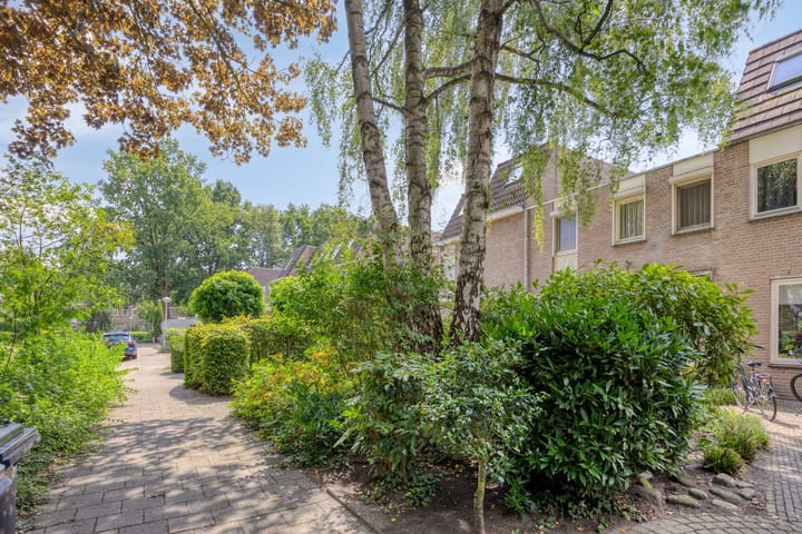 Foto 25 van Johan Frisopark 131