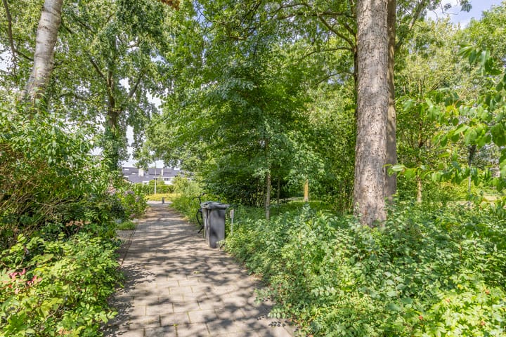 Foto 27 van Johan Frisopark 131