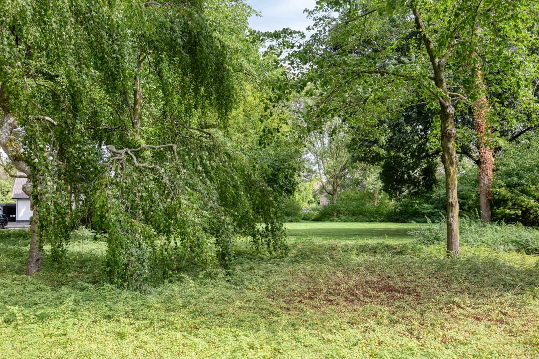 Foto 28 van Johan Frisopark 131