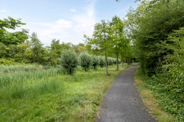 Foto 52 van Hertogenhof 8