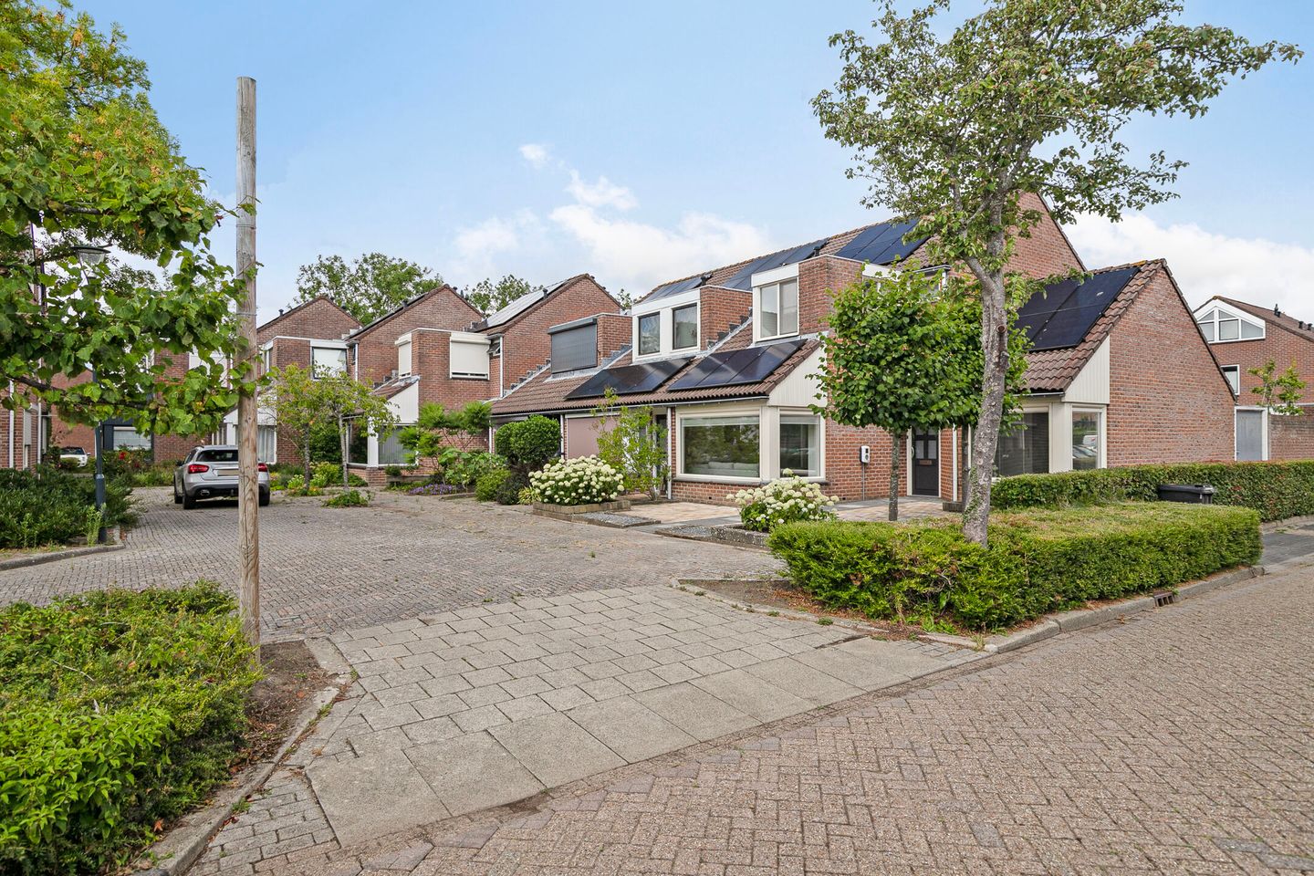 Photo 50 of Albardastraat 40